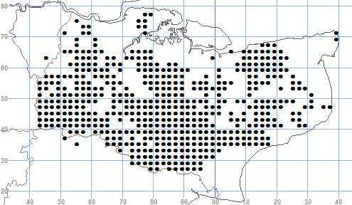 Purple Hairstreak Kent distribution map (as of year 2005)